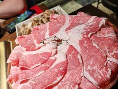 -九鼎轩脆毛肚火锅(三钢里店)