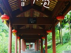 -广州神农草堂中医药博物馆