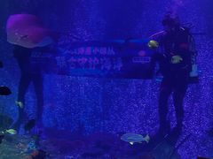 -沈阳海洋探索中心