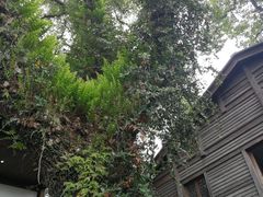 -星巴克(福州三坊七巷店)