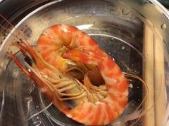 -张树军海鲜(王府壹号店)