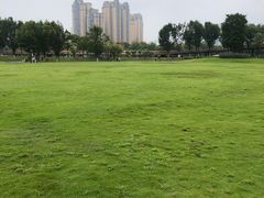 -府河摄影公园