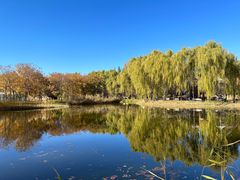 -安德鲁户外烧烤帐篷营地(马泉营店)