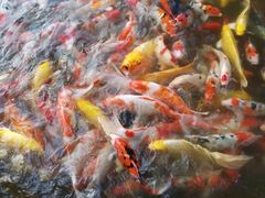 -食膳公园包子铺(烈士公园店)