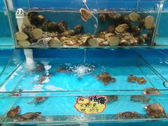 -港畔赶海蒸汽海鲜烧烤自助(仙螺岛店)