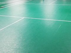 -东丽温泉羽毛球