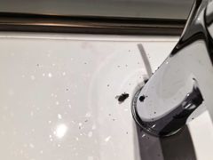 -苏州东山雕花楼宾馆