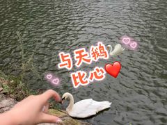 -秦皇岛野生动物园