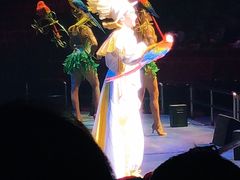 -珠海横琴长隆《卡卡虎奇遇记》