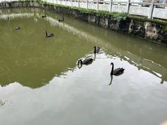 -黔灵山公园