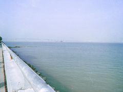 -大湾区中央湿地公园