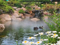 -罗红摄影艺术馆