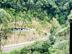 -龙岩森林水乡景区