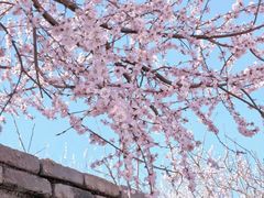 -三里河公园