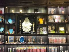 -雪灵魔法世界SHELLY’S TAROT(大良桂畔里店)