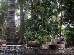 -三亚珠江南田温泉度假区