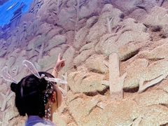 -隋唐大运河文化博物馆