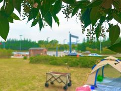 -洨河生态公园
