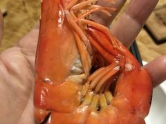 白灼九节虾-海椰茶居(海印缤缤广场店)