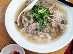 鲜牛肉粉-探越越南牛肉粉(江南西分店)