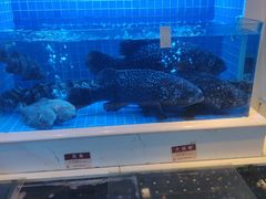 水产区-金苑海鲜酒家(来魅力店)