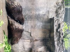 -广州长隆飞鸟乐园