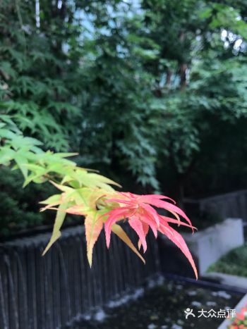 在上海待了近半个月，忙碌的出差终于结束了