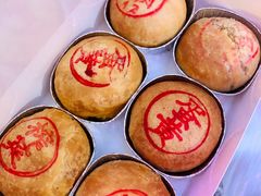 鲜肉月饼-泰康食品(南京东路店)