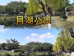 -月湖公园
