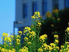 -福州大学(旗山校区)