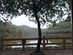 -李小龙乐园(顺德均安店)