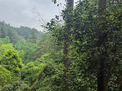 -生态园山庄(森林公园店)