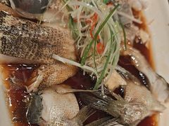 -新吉士·上海菜(浦东LCM置汇旭辉店)