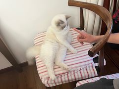 -北京恒爱动物医院(清景园分院)