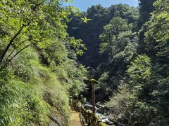 -炎陵县神农谷国家森林公园