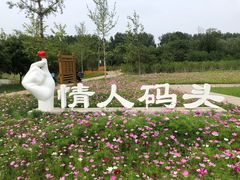 -东郊湿地公园