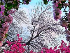 -元大都城垣遗址公园