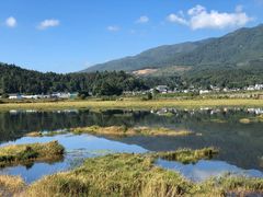 -腾冲北海湿地