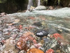 -西岭雪山大飞水景区