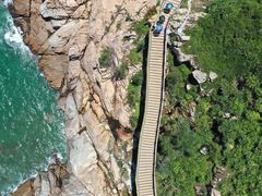 -广东惠东海龟国家级自然保护区