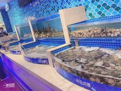 -乔哥铭洋海鲜自助(皇城恒隆广场店)
