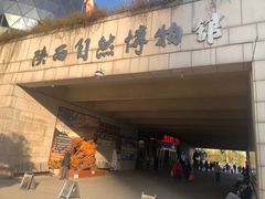 -陕西自然博物馆