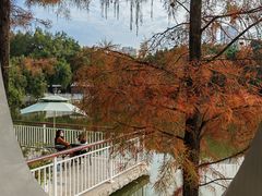 -人民公园(罗湖区)