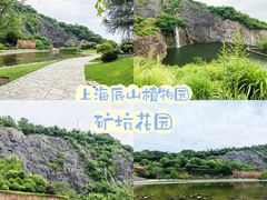 -上海辰山植物园