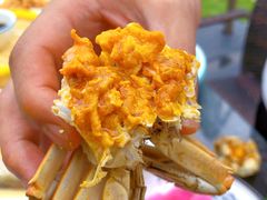-七的湖·晚芳亭·阳澄湖农家菜·大闸蟹(莲花岛店)