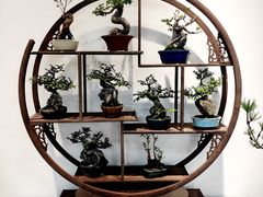 -上海滨江森林公园