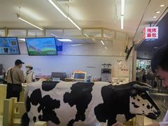 -红星前进面包牛奶公司(君太店)