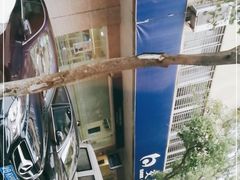 -交通银行(上海莘庄支行)