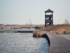 -盐城丹顶鹤湿地生态旅游区