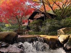 -中国茶叶博物馆(双峰馆区)